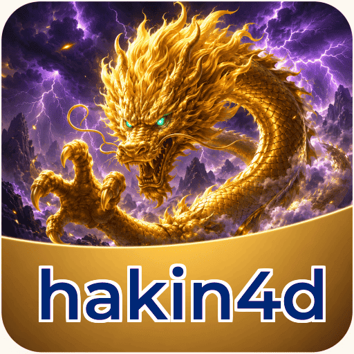 hakin4d Verification