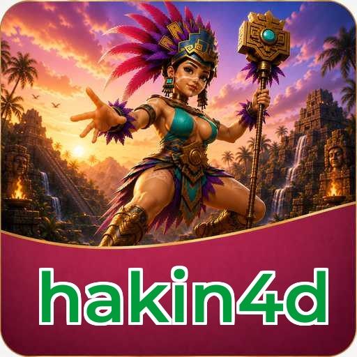 hakin4d Technical Info